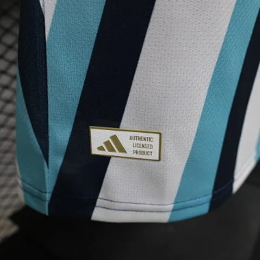 2026 Argentina Special Edition Kit Player Version Soccer T-Shirt