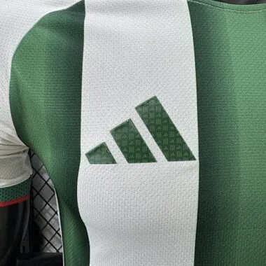2026 Mexico Special Edition Kit Player Version Soccer T-Shirt AAAAJersey Supply Yupoo