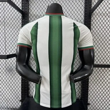 2026 Mexico Special Edition Kit Player Version Soccer T-Shirt AAAAJersey Supply Yupoo