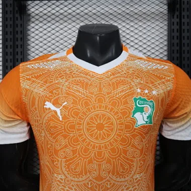 2026 Ivory Coast Orange Special Edition Kit Player Version Soccer T-Shirt AAAAJersey Supply Yupoo