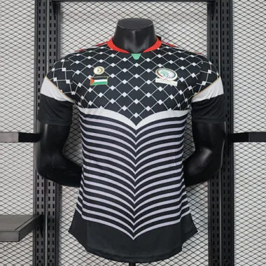 2024 Palestine Training Player Version Soccer AAAAJersey Yupoo