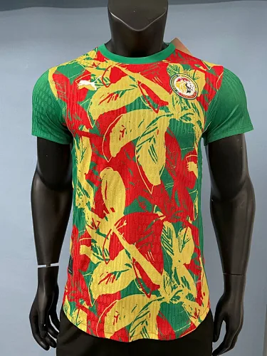 2024 Senegal Training Kit Player Version Soccer AAAAJersey