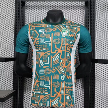 24-25 Ivory Coast Special Edition Player Version Soccer AAAAJersey
