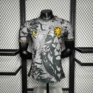 2024 Netherlands Jordan Special Edition Kit Player Version Shirt AAAAJersey Supplier Yupoo