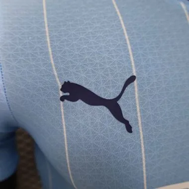 24-25 Manchester City Home Kit Player Version Shirt Soccer Jerseys For Sale
