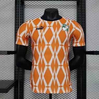 2023 Ivory Coast Training Kit Player Version Shirts Cheap Soccer Jerseys