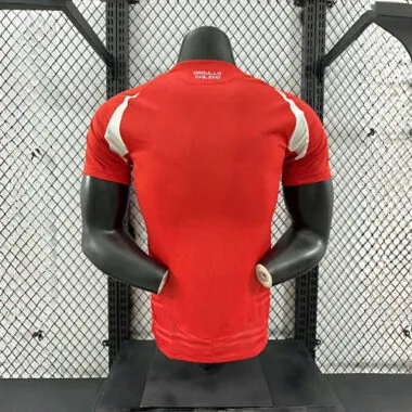 2024 Chile Home Kit Player Version Shirt AAAAJersey Wholesale Yupoo