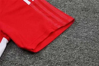 Polo Ajax rojo