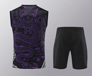 24-25 Real Madrid Purple Dragon Training Vest Kits(Top+Shorts) Football