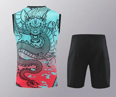 24-25 Real Madrid Dragon Training Vest Kits(Top+Shorts) Football