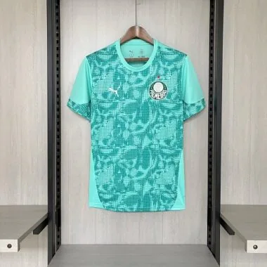 26-27 Palmeiras Goalkeeper Green Kit Soccer T-Shirt AAAAJersey Supply Yupoo
