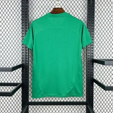 25-26 Fluminense Training Kit Soccer T-Shirt
