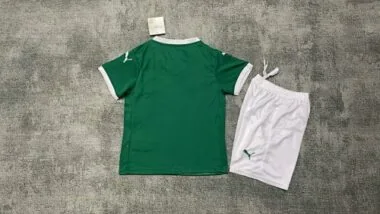 25-26 Palmeiras Home Kid Kits Soccer AAAAJersey Yupoo