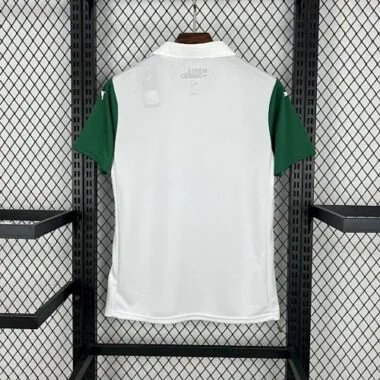 25-26 Palmeiras uittenue voetbal