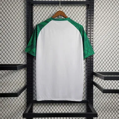 23-24 Palmeiras training suit white