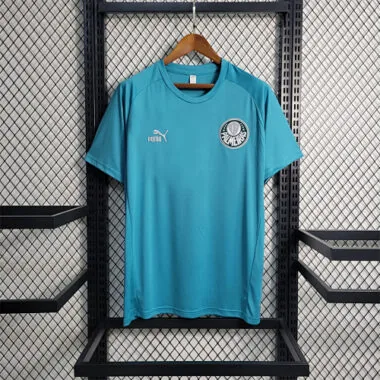 23-24 Palmeiras Training Suit Green