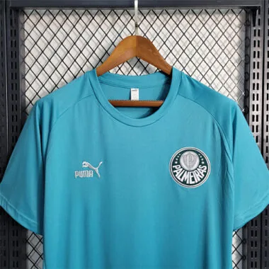 23-24 Palmeiras Training Suit Green