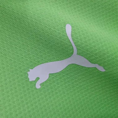 23-24 Palmeiras Training Clothes POLO
