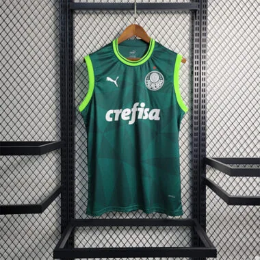 23-24 Palmeiras home tank