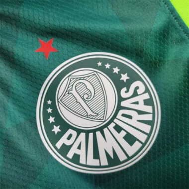 23-24 Palmeiras home tank