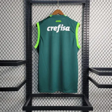 23-24 Palmeiras home tank