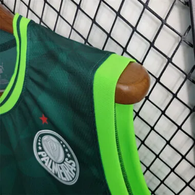 23-24 Palmeiras home tank