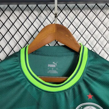 23-24 Palmeiras home tank