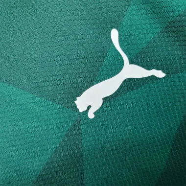 23-24 Palmeiras home S-4XL
