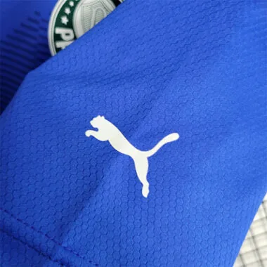 23-24 Palmeiras Dark Blue Goalkeeper