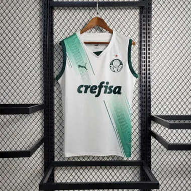 23-24 Palmeiras away tank