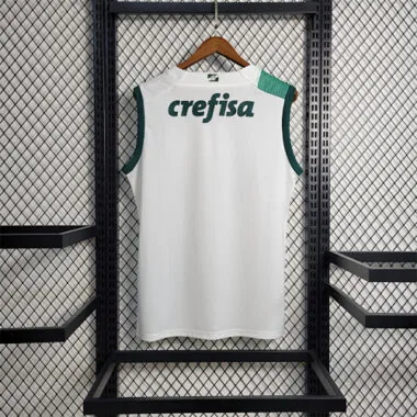 23-24 Palmeiras away tank