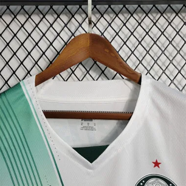 23-24 Palmeiras away tank