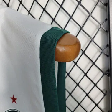 23-24 Palmeiras away tank