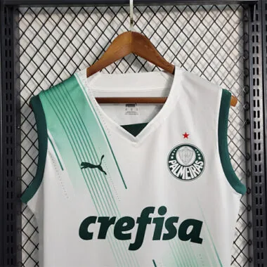23-24 Palmeiras away tank