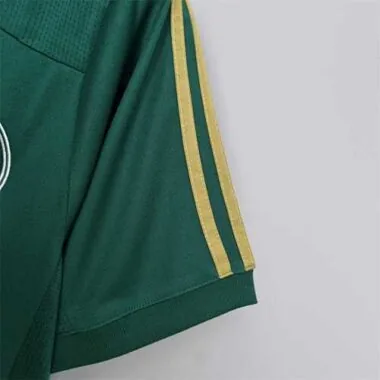 14-15 Palmeiras home