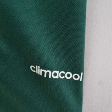 14-15 Palmeiras home