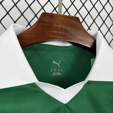 25-26 Palmeiras Special Edition Kit Soccer T-Shirt