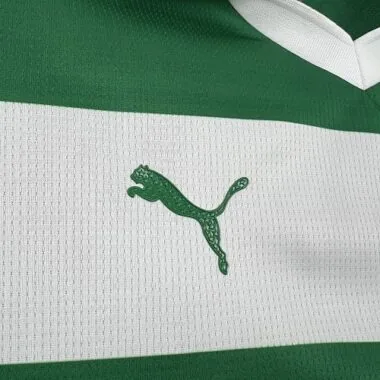 25-26 Palmeiras Special Edition Kit Soccer T-Shirt