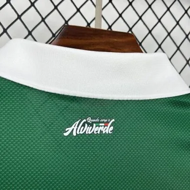 25-26 Palmeiras Special Edition Kit Soccer T-Shirt