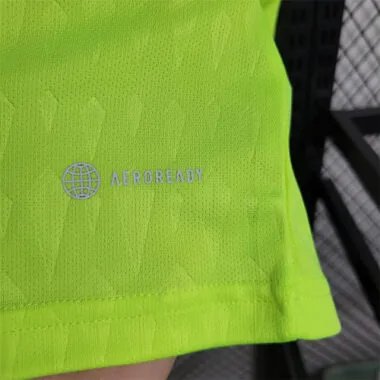 Portero de Argentina de 2022, de color verde