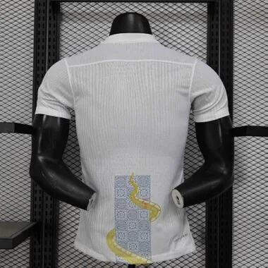 25-26 Tottenham Hotspur Special Edition Player Version Soccer AAAAJersey Yupoo