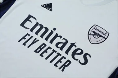 22-23 Arsenal training suit gray