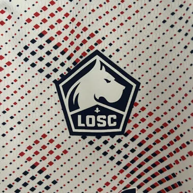 Camiseta de visitante del Lille 24-25. Equipaciones de fútbol.