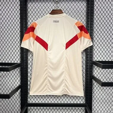 24-25 Lyon Special Edition Shirt Soccer Uniforms Football