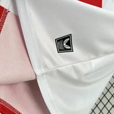 25-26 Feyenoord Home Kit Soccer