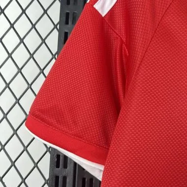 26-27 Benfica Home Kit Soccer T-Shirt