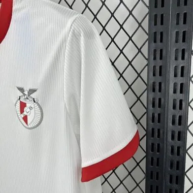 25-26 Benfica Special Edition Soccer AAAAJersey Yupoo