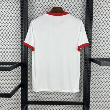 25-26 Benfica Special Edition Soccer AAAAJersey Yupoo