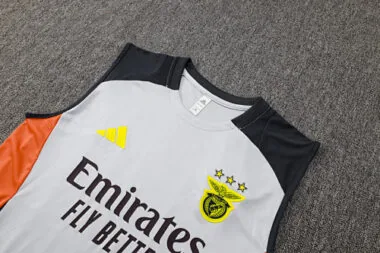 25-26 Benfica Training Vest Kit Soccer AAAAJersey Yupoo