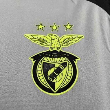 24-25 Benfica Training Shirt Soccer Uniforms Soccer